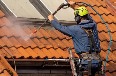 Démoussage et hydrofuge de toiture à Sarrogna